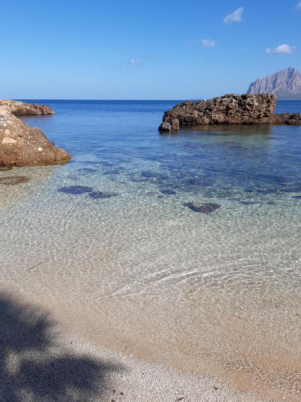 Il Colore Del Mare Tonnara di Bonagia Exterior foto